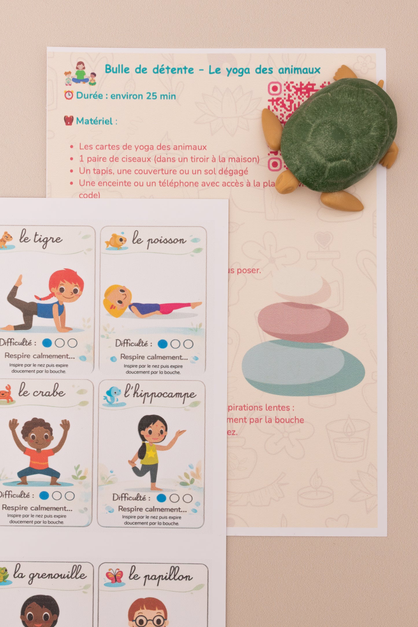 Box "A la rencontre des animaux" 6 - 11 ans