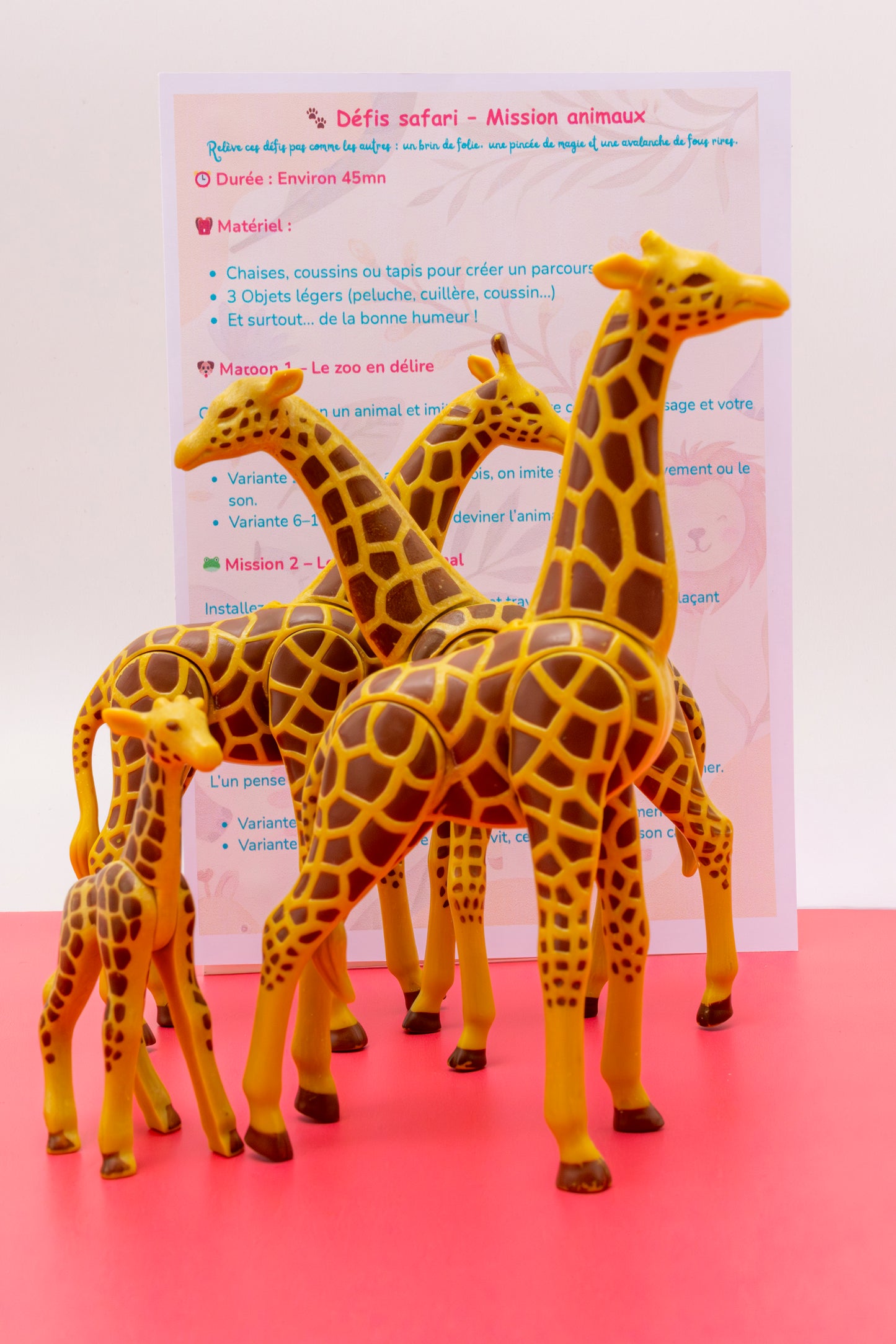 Box "Mes amis les animaux" 2 - 6 ans