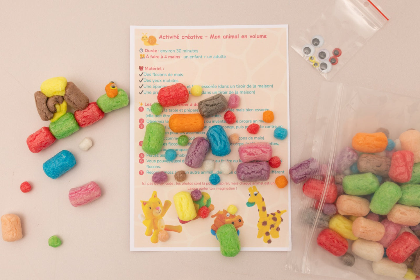 Box "A la rencontre des animaux" 6 - 11 ans