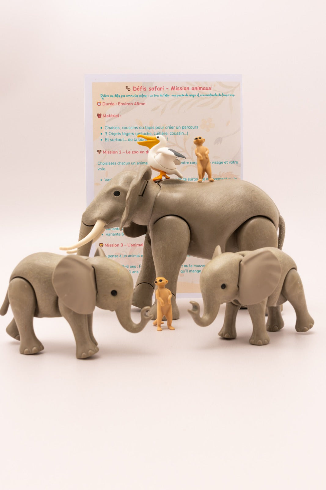 Box "A la rencontre des animaux" 6 - 11 ans